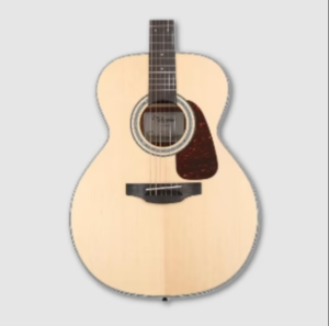 acoustic-guitars